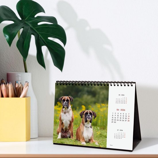 TOBJA Wandkalender 2026 A3 - Overzichtelijke kalender 2026 met feestdagen en weeknummers. Jaarkalender 2026 DIN A3 30 x 42 cm