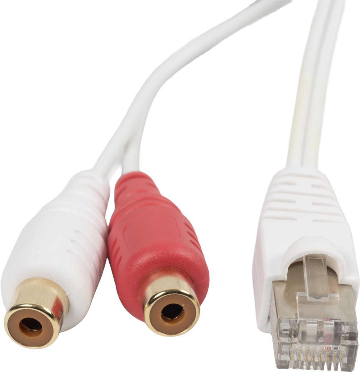 BOSSCOM RJ45 - Tulp stereo (v) kabel voor B&O | wit | 0,50 meter