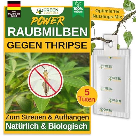 Produit biologique efficace contre les thrips et les acariens tisserands pour plantes d'intérieur et d'ornement - 5 sachets contenant des acariens prédateurs