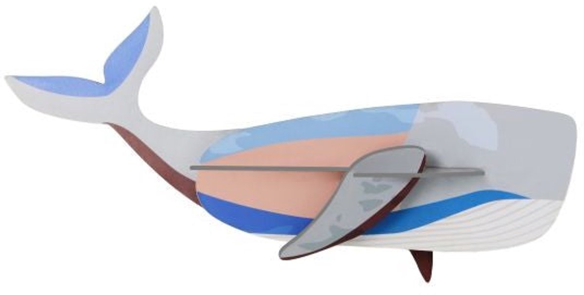 Zeedieren Klein - Walvis