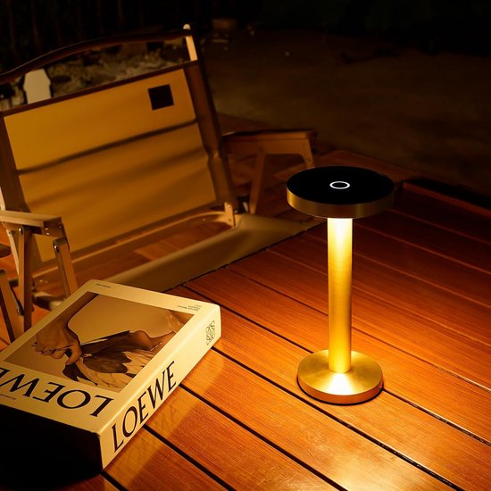 Spot Lights Indoor met Remote Up Lights Indoor, Draadloze Foto Licht Batterij aangedreven Spotlights met Timer Dimbare Accent Uplighting Indoor Stick op Wandlamp voor Kunstwerk, Plant, Potrait, 1 Pack