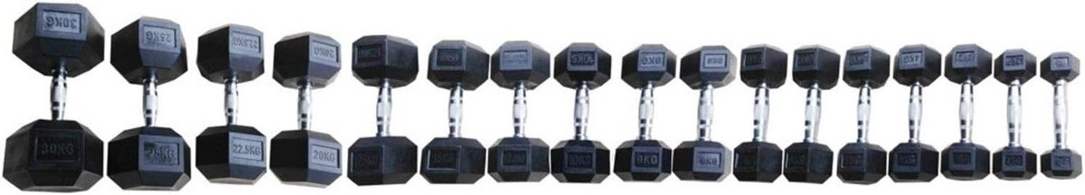 Gegalvaniseerde Halterstangen Zeshoekig Rubber 7 kg Set van 2