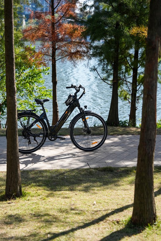 Zwarte elektrische fiets met bagagedrager, staand op een betegeld pad naast een meer en bomen.