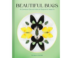 Beautiful Bugs