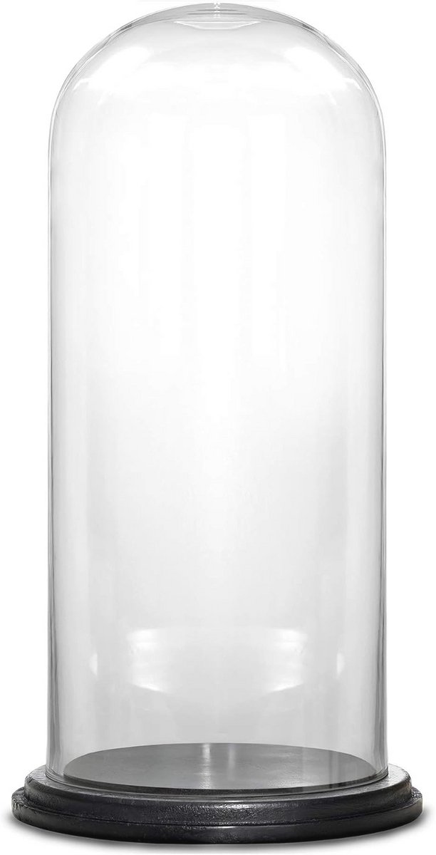 Glazen Koepel met Houten Basis - Sieradenhouder & Rozen Display Case - Terrarium 35 cm x 15 cm