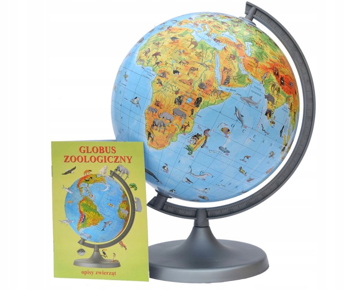 Zachem Globe Dierkunde 22 cm - Leerzame Wereldbol met Dieren