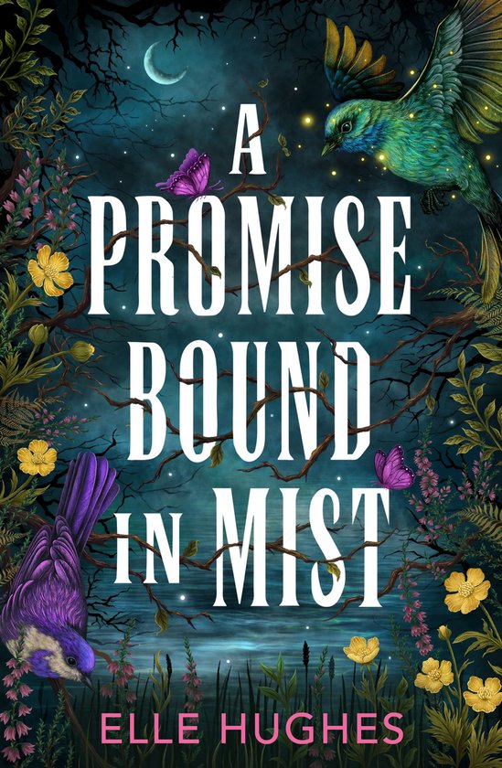 A Promise Bound in Mist - cover