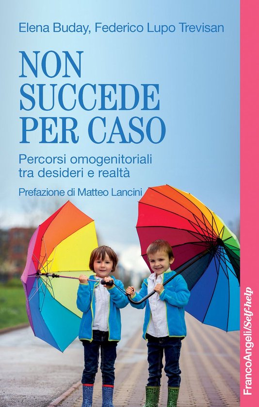 Non succede per caso - cover