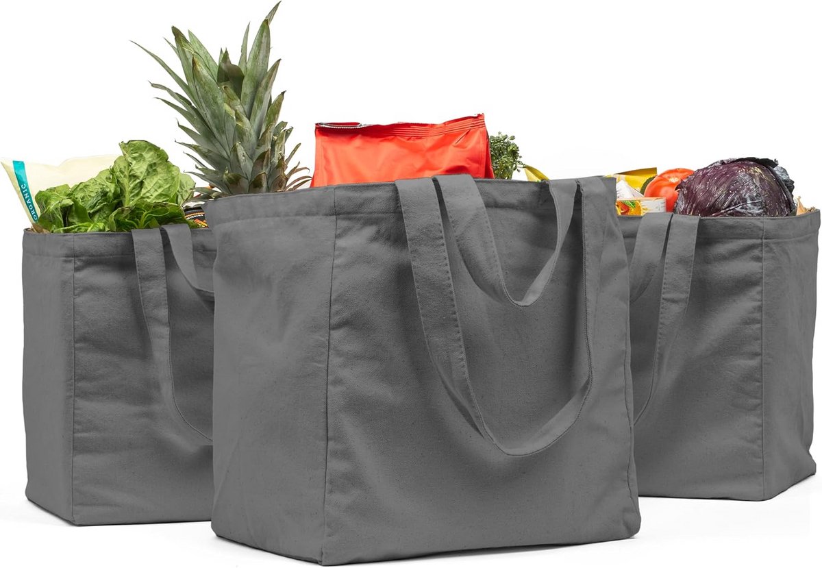 Extra grote herbruikbare canvas boodschappentas set van 3 - opvouwbaar en wasbaar
