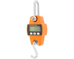 Digitale Hangweegschaal 300 kg - Aluminium Kraanweegschaal voor Vissen en Grondstoffen