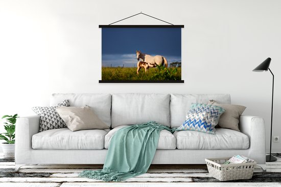 Cheval avec poulain dans l'herbe poster textielposter lattes noir 150x100 cm