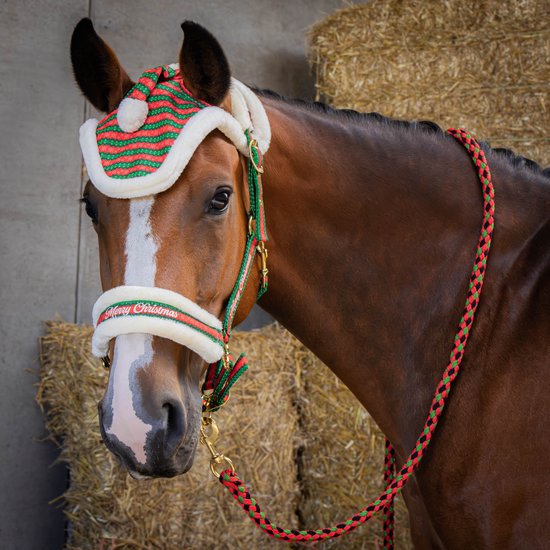 Halter, longe en oorbescherming voor paard Harry's Horse Christmas Halter, longe en oorbescherming voor paard Harry's Horse Christmas