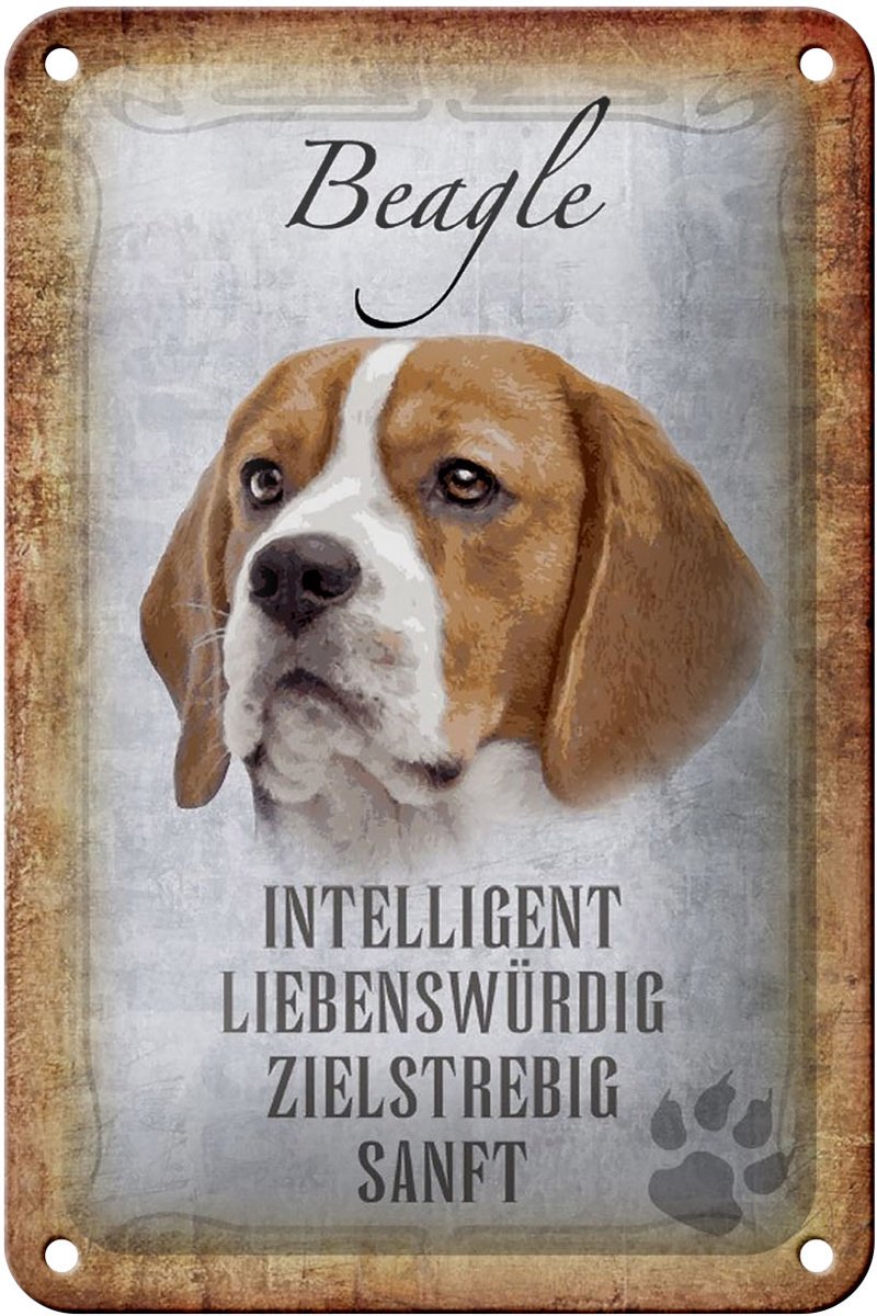 Blechschild Spruch 12x18cm Beagle Hund Schild