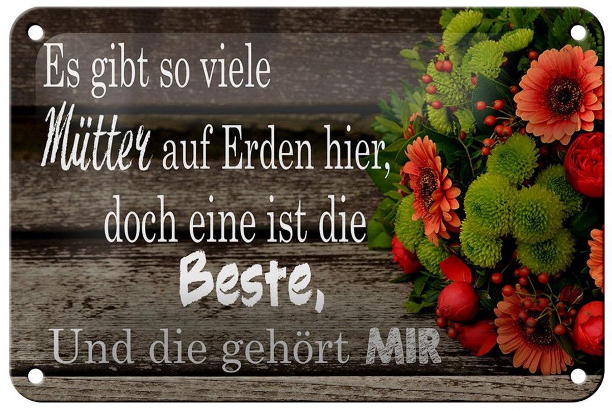Blechschild Spruch 18x12cm es gibt viele Mütter doch eine