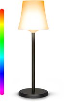 Zwart-witafbeelding van een draadloze tafellamp met een regenboogkleurige lichtstang ernaast.