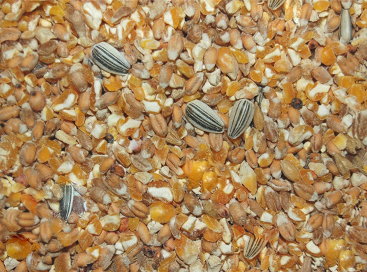 Wielink Scharrelgraan 25 kg