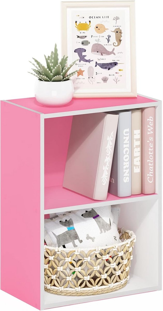 Compacte 2-laags Open Boekenkast met Opbergruimte