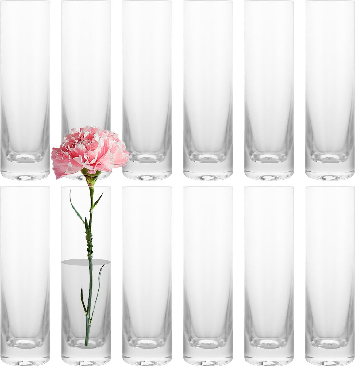 IMPERATORIS® Glazen Vazen / Glazen Flessen – Mini Decoratieve Vaas Flesjes – Helder Glas – Inclusief Strik – 12 Stuks – 4.7 x 4.7 x 17.5 cm – Transparant