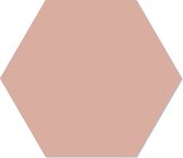 Blanco muurhexagons per 10 stuks Effen zwart / Dibond