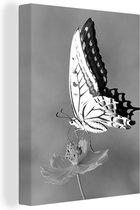 Canvas Schilderij Vlinder op een bloem - zwart wit - 60x80 cm - Wanddecoratie
