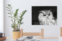 Product afbeelding  7
