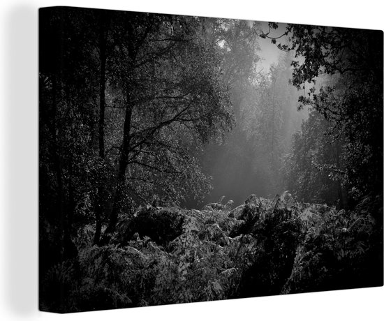 Canvas Schilderij Mist in het Nationaal park New Forest in Engeland - zwart wit - 180x120 cm - Wanddecoratie XXL