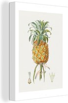 Toile Peinture Ananas - Vintage - Fruit - 90x120 cm - Décoration murale