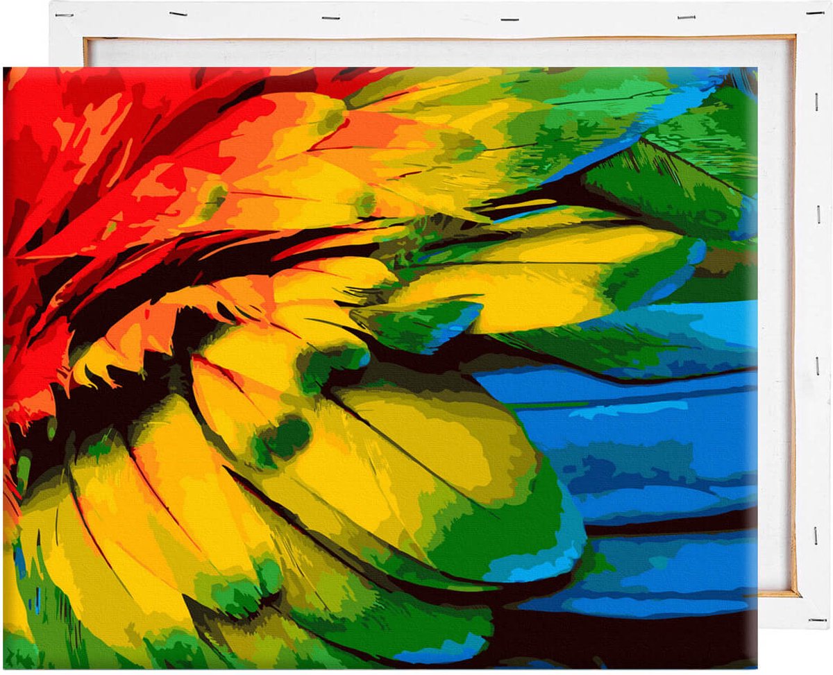 Schilderen Op Nummer Volwassenen DIY Paint By Number Compleet Hobby Pakket op Frame met Vernis - ®Arty Bee - Colourful Feathers 50x40cm — afbeelding 9