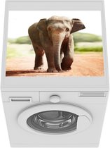 Wasmachine beschermer mat - Wandelende olifant - Breedte 55 cm x hoogte 45 cm