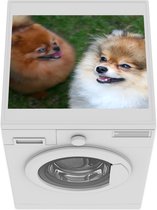 Wasmachine beschermer mat - Twee pomeriaanse honden - Breedte 55 cm x hoogte 45 cm