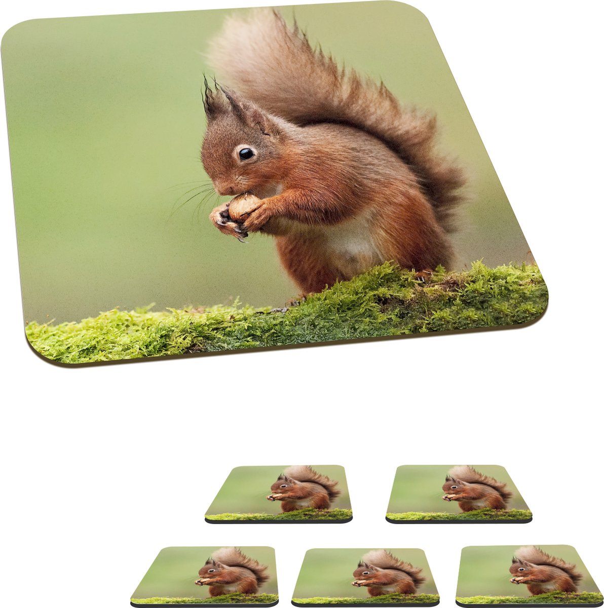 Onderzetters voor glazen - Rode eekhoorn - 10x10 cm - Glasonderzetters - 6 stuks