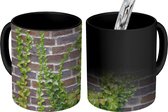 Magische Mok - Foto op Warmte Mok - Een hedera klimop op de muur van een huis - 350 ML - Uitdeelcadeautjes