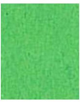 Fotokarton folia appelgroen 50x70cm 300gr pak a 25 vel