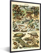 Affiche avec cadre Reptiles - Animaux - Nature - 20x30 cm