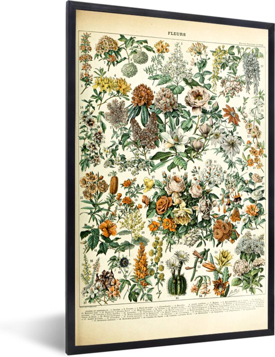 Fotolijst incl. Poster - Bloemen - Oranje - Geel - 60x90 cm - Posterlijst