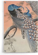 Walljar - Ohara Koson - Two Peacocks On Tree Branch - Muurdecoratie - Plexiglas schilderij