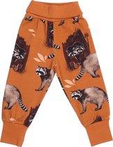 Curious Raccoons Broeken Broeken & Jeans Bio-Kinderkleding