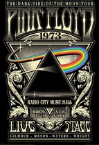 Pyramid Pink Floyd 1973  Poster - 61x91,5cm