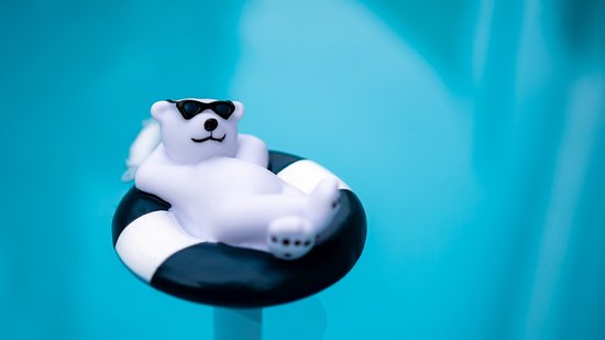 Thermometer ijsbeer voor in het zwembad - Waterthermometer