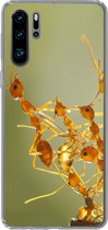 Geschikt voor Huawei P30 Pro hoesje - Mieren - Oranje - Dieren - Siliconen Telefoonhoesje