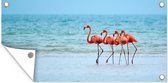 Wanddecoratie buiten Vier flamingo's staan op het strand - 160x80 cm - Tuindoek - Buitenposter