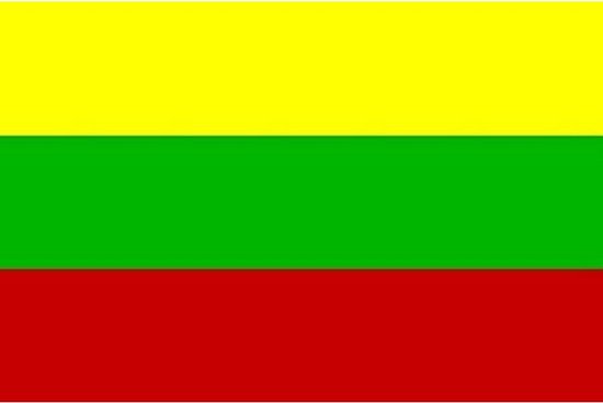 drapeau Lituanie 90 x 150 cm PE jaune/vert/rouge | bol