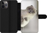 Bookcase Geschikt voor iPhone 11 Pro Max telefoonhoesje - Kat - Dier - Woonkamer - Met vakjes - Wallet case met magneetsluiting