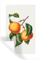 Stickers muraux - Film autocollant - Fruits - Feuilles - Nourriture - 20x30 cm - Film adhésif - Stickers muraux Chambre d'enfant - Papier peint autocollant