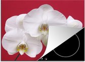 KitchenYeah® Inductie beschermer 60x52 cm - Witte orchidee op rood - Kookplaataccessoires - Afdekplaat voor kookplaat - Inductiebeschermer - Inductiemat - Inductieplaat mat