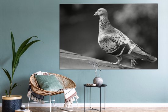 Tableau sur toile 150x100 cm - Décoration murale Pigeon voyageur sur un toit - noir et blanc - Décoration murale salon - Décoration chambre - Accessoires chambre - Peintures