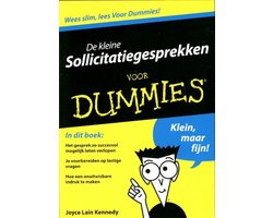 Voor Dummies - De kleine sollicitatiegesprekken voor Dummies
