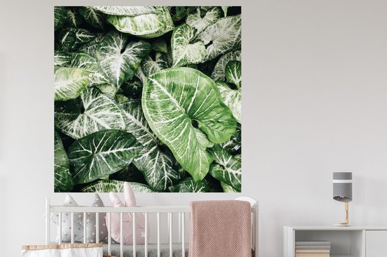 Stickers muraux - Feuilles - Plantes - Nature - 120x120 cm - Feuille adhésive XXL