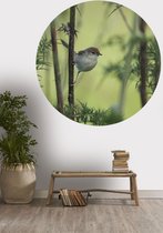 Behangcirkel vogel op een tak | ⌀ 155 cm | Wandecoratie | Wandcirkel