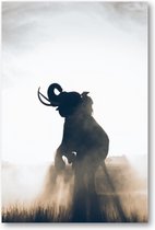 Olifant in Rijstveld - 60x90 Poster Staand - Dieren